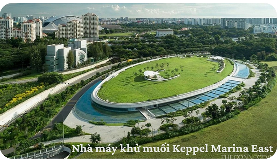 Du an nha may khu muoi Keppel Marina East