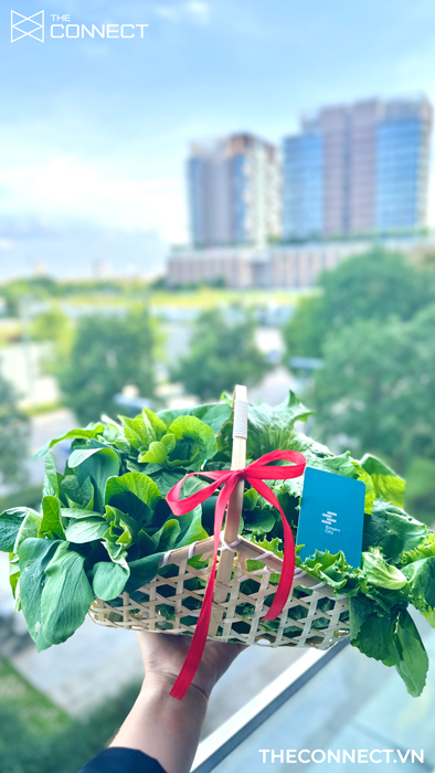 vuon rau tu trong tai empire city